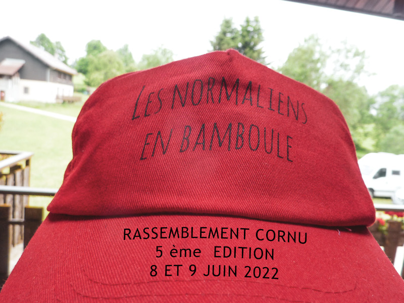 Voir toutes les photos