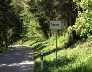 Fayot